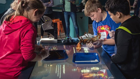 Relaunching LabVenture