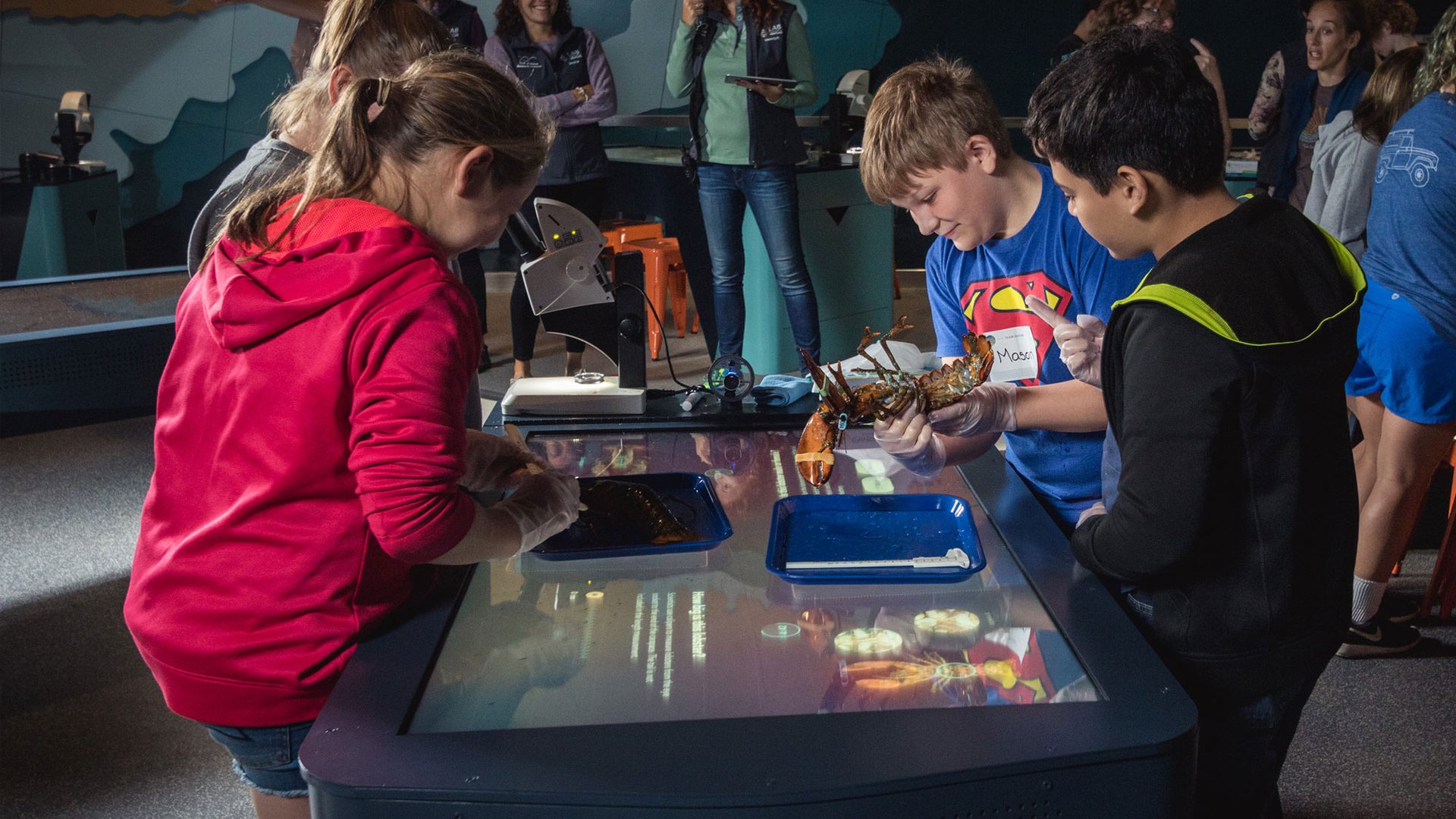 Students gather around one of the interactive learning kiosks in our new LabVenture space, while one delighted student in a superman shirt holds a live lobster. Teachers and GMRI leaders smile in the background.