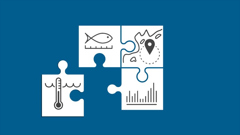 A graphic of a puzzle.