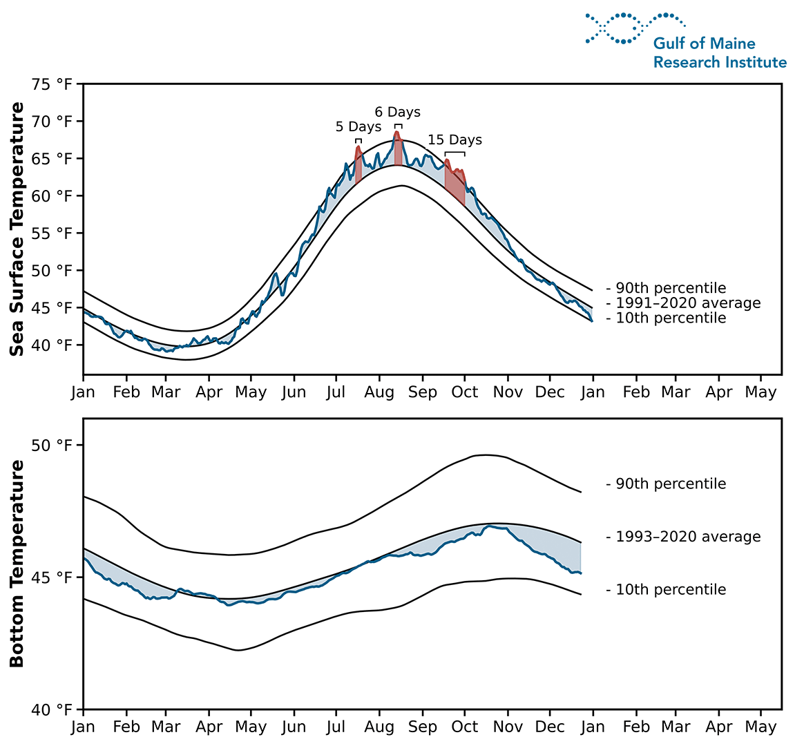 Figure 4. Daily Gulf of Maine surface (top panel) and bottom (bottom panel) temperature time series compared to the smoothed climatology (solid black line). The 10th and 90th percentile thresholds are also shown. Departures from the smoothed climatology are shaded in blue, and marine heatwave events (temperatures exceeding the 90th percentile for ≥5 days) are highlighted in red.