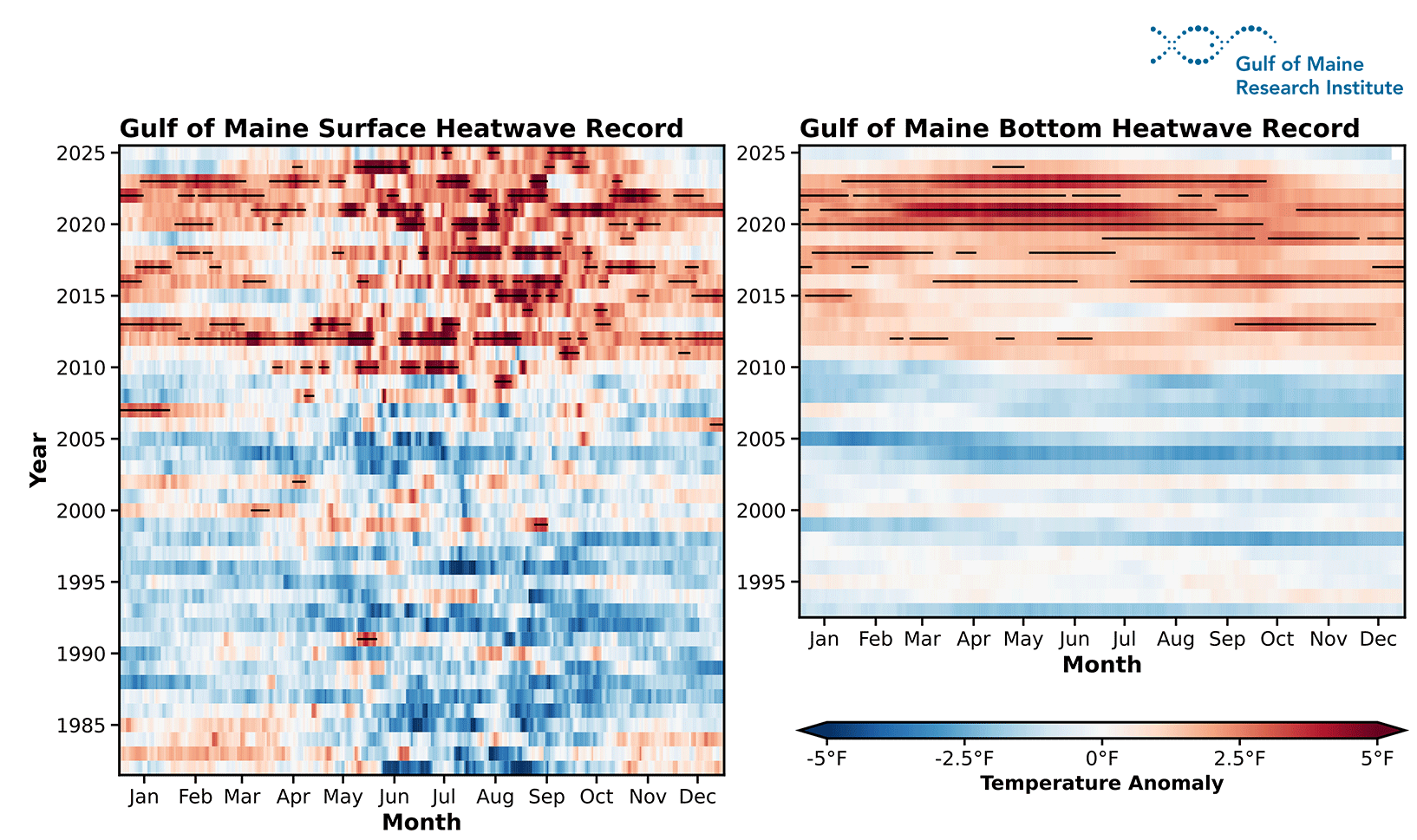 Figure 5. Heatmaps of Gulf of Maine surface and bottom temperature anomalies, with marine heatwave (MHW) events indicated by black bars for the period 2010 – 2025. (Left panel) Gulf of Maine sea surface temperature (SST) anomalies derived from the NOAA Optimum Interpolation Sea Surface Temperature (OISST) product (1/4° resolution; available from 1982 to 2025), calculated relative to the 1991 – 2020 reference period. (Right panel) Gulf of Maine bottom temperature (BT) anomalies derived from the GLORYS12v1 ocean reanalysis (1/12° resolution; available from 1993 to 2025), calculated relative to the 1993 – 2020 reference period.