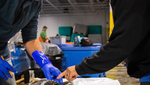 Fish Quality Resource Hub