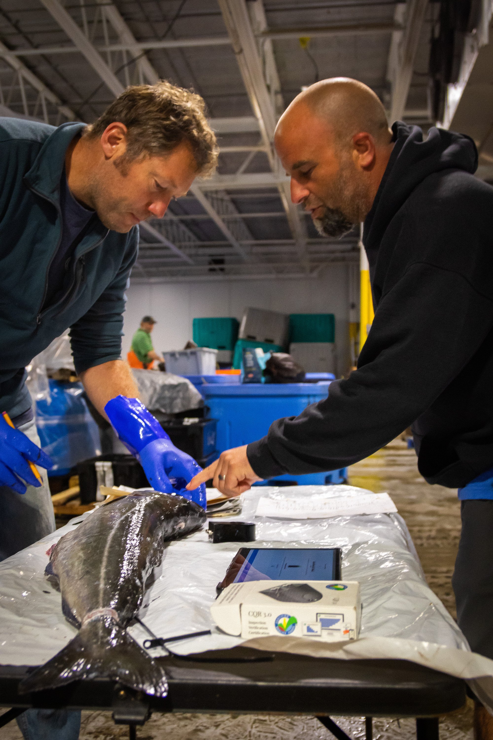 Fish Quality Resource Hub - Gulf of Maine Research Institute