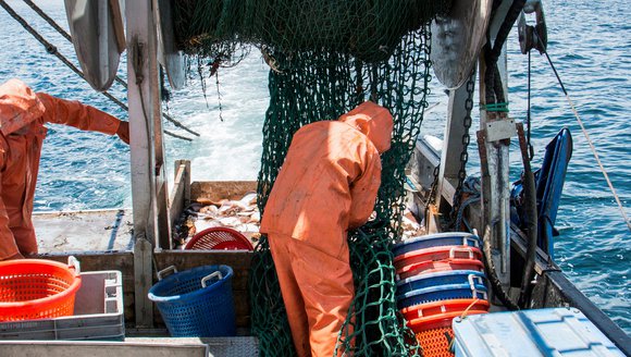 Fishermen Team Up With Scientists To Make A More Selective Net