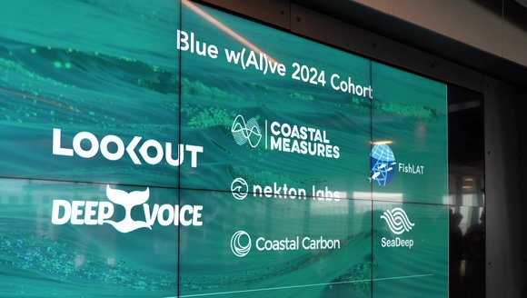 Local Partnership Fuels Global AI Innovation