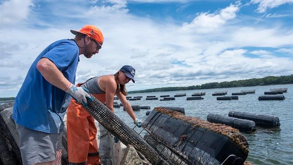 Get Ready for 2026: Host an Aquaculture Pioneer or Apprentice