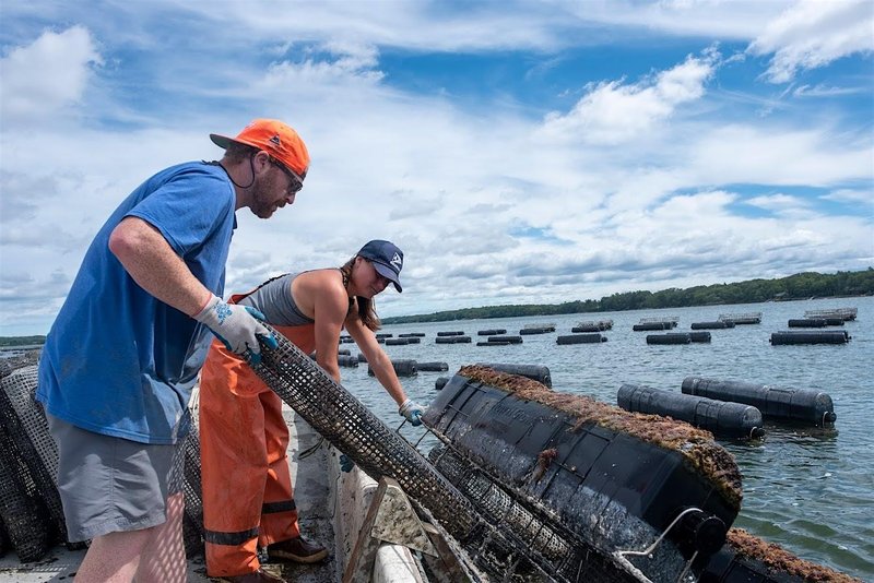 Get Ready for 2026: Host an Aquaculture Pioneer or Apprentice