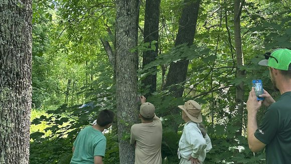 Ash Monitoring Community Science Field Workshop