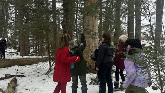 Getting Youth Involved in Monitoring Hemlock Trees
