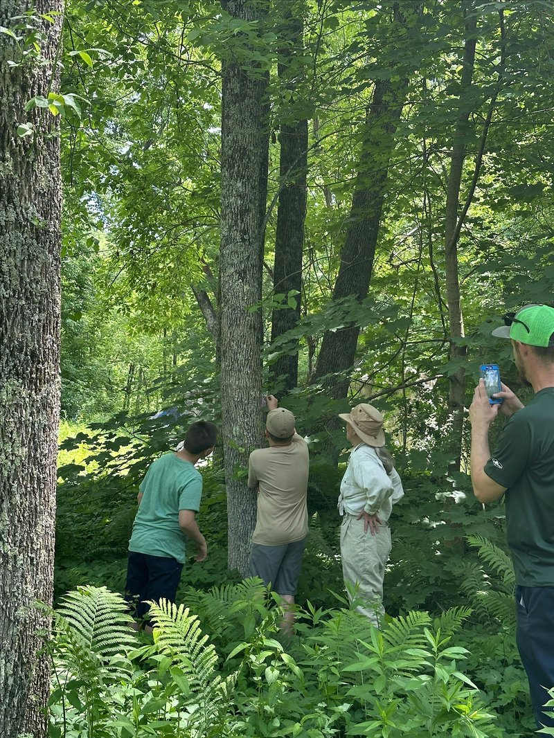 Getting Youth Involved in Monitoring Ash Trees