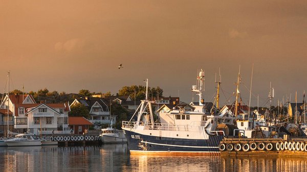 Climate Adaptation Strategies for Northeast U.S. Fishing Communities