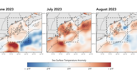 Gulf of Maine has eighth warmest summer on record - Maine Morning Star