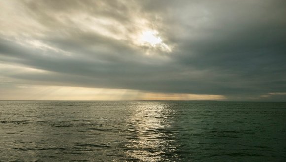 Gulf of Maine logged its 8th-hottest summer on record this year