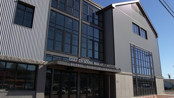 Gulf of Maine Research Institute launches 'bluetech' accelerator for startups