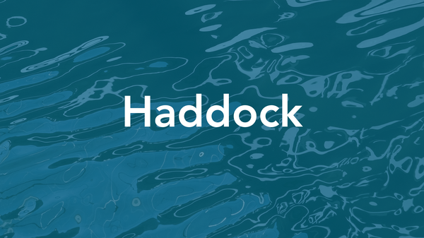 haddock-quality-thumbnail