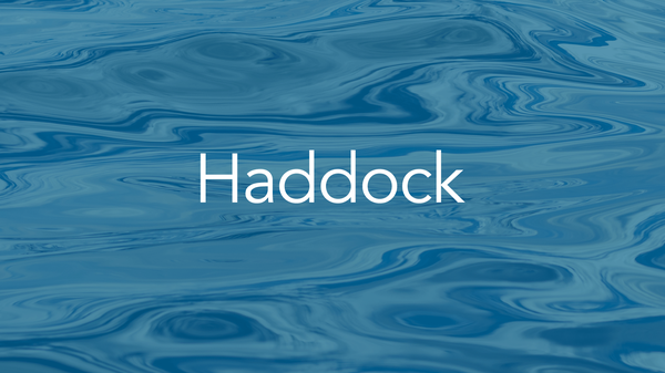 haddock-quality-thumbnail