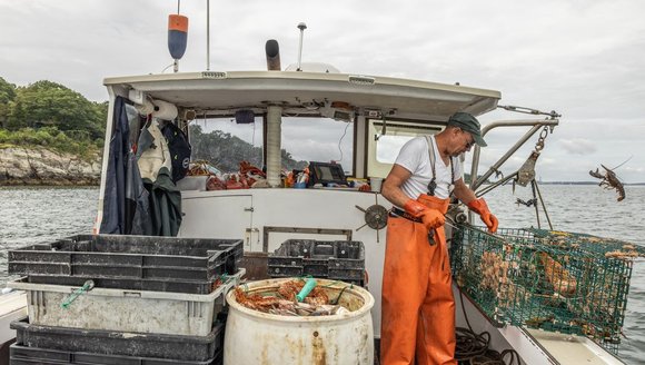 Heating Waters Force Change in Industries That Depend on the Ocean