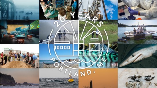 20 Years on the Waterfront: Reflecting & Looking Ahead