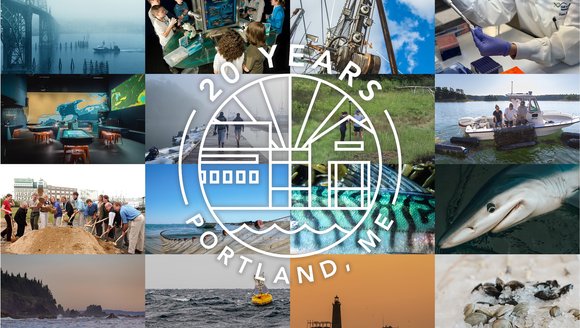 20 Years on the Waterfront: Reflecting & Looking Ahead