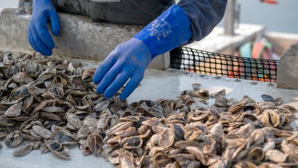 I built a career on the water. Maine students need more support to do the same. | Opinion