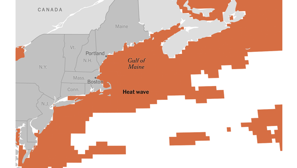 See How Marine Heat Waves Are Spreading Across the Globe