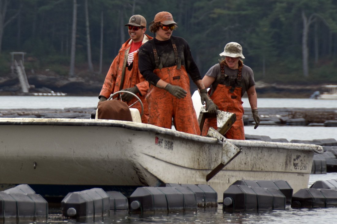 Aquaculture Impact - Gulf of Maine Research Institute