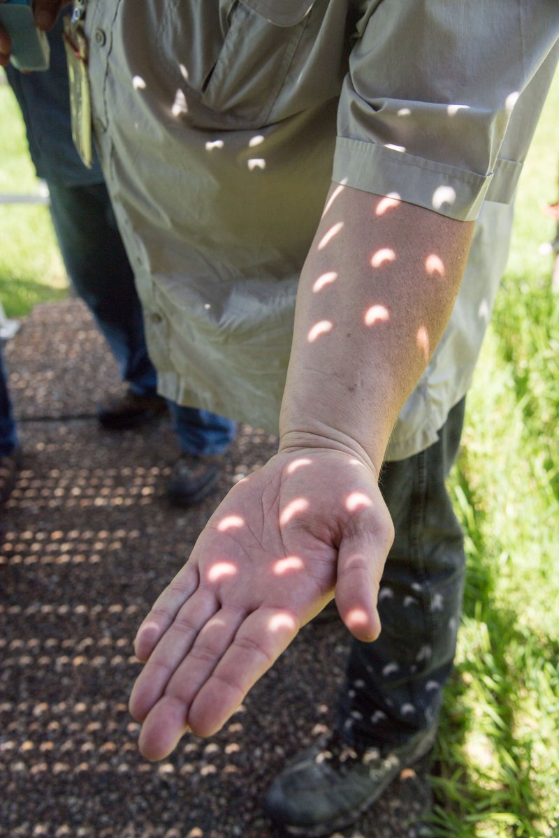 A man's hand shows shadows and light.