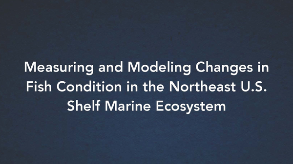 Lora LaRochelle Report Cover