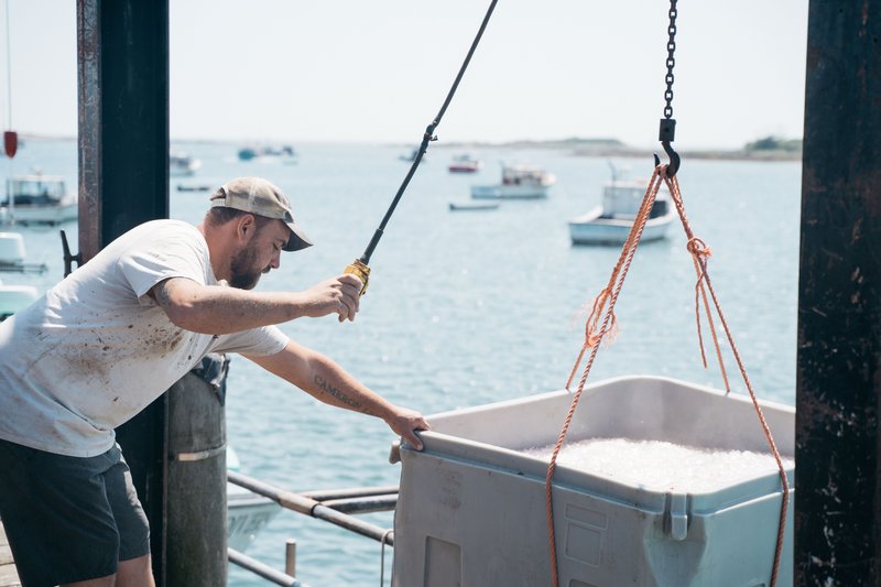 fish quality project page 4