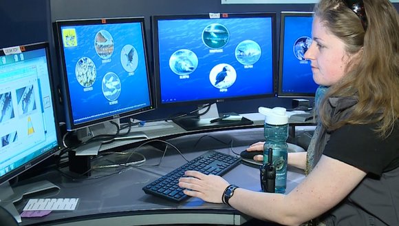 Maine has nation’s only Shellfish & Seaweed Aquaculture Apprenticeship programs
