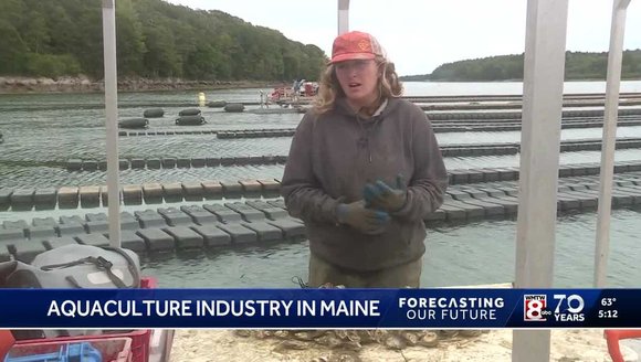 Maine is leading the way in aquafarming