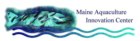 This is a logo that with blue text that reads "Maine Aquaculture Innovation Center" over squiggly teal lines and an abstract image of a fish.