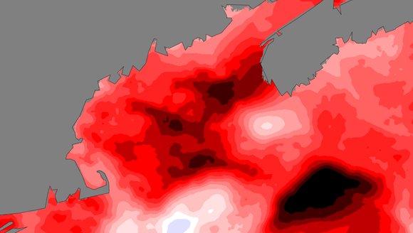 Marine Heatwave