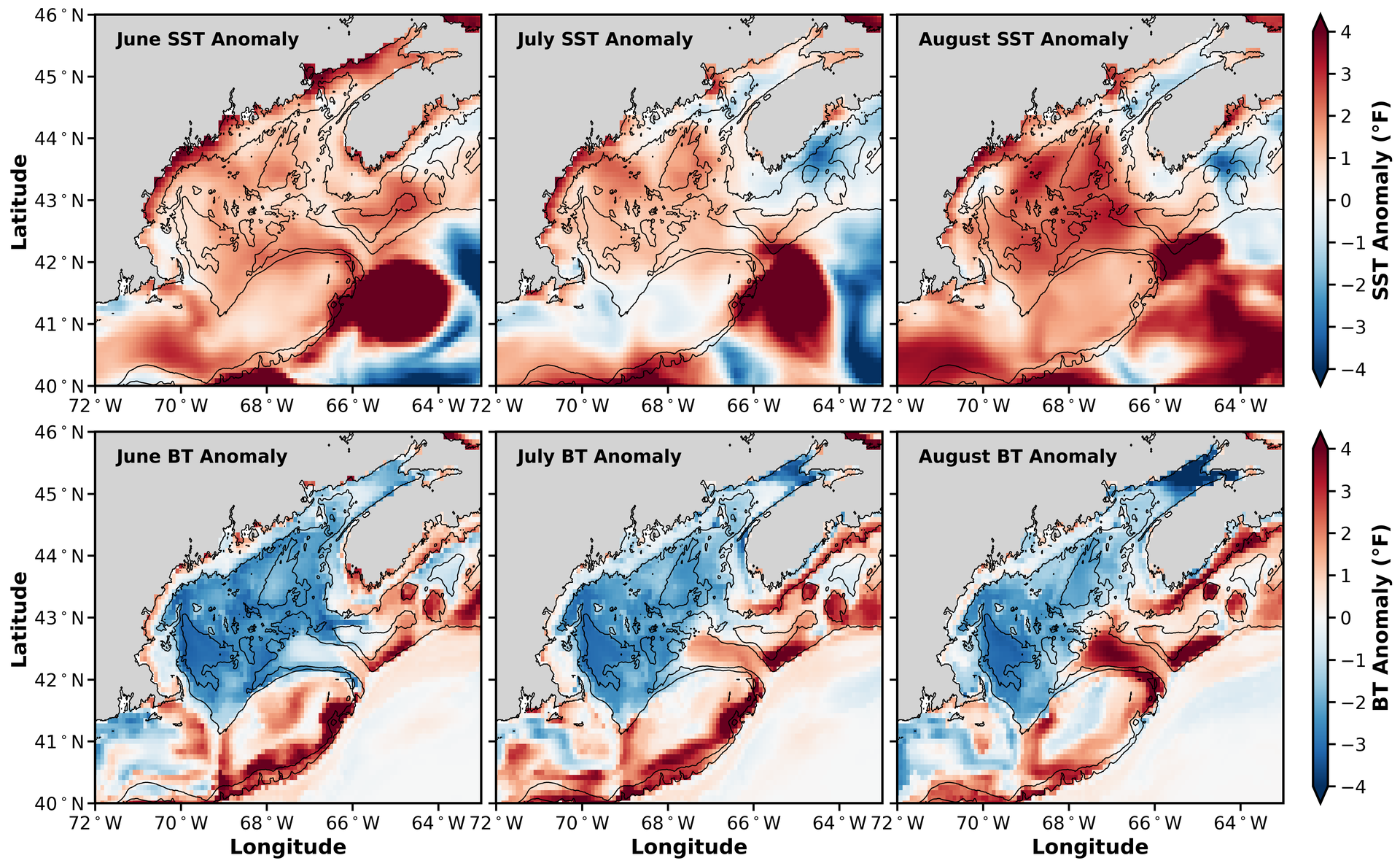 monthly SST and BT anomalies summer 2026