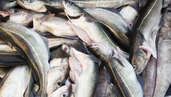 Nearly $1 million allocated to help market Maine agricultural products