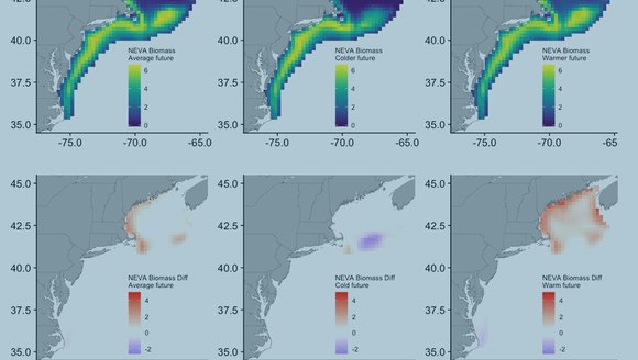 Following Fish on the Move
