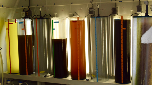 Ocean acidification MookesOysters_Hatchery_DSC_0474