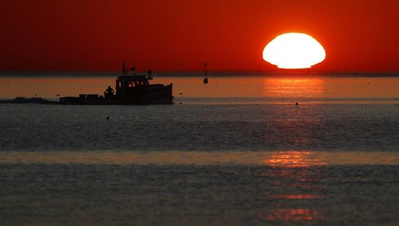 Ocean warming is 'off the charts' this summer. But not in the Gulf of Maine. Why?