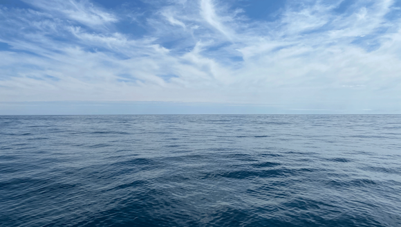 Atlantic Meridional Overturning Circulation (AMOC) 101