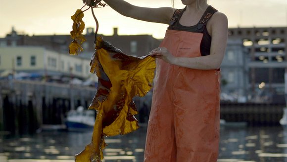 Panel 2: Beyond the Shore: Seaweed Innovation & Maine’s Blue Economy
