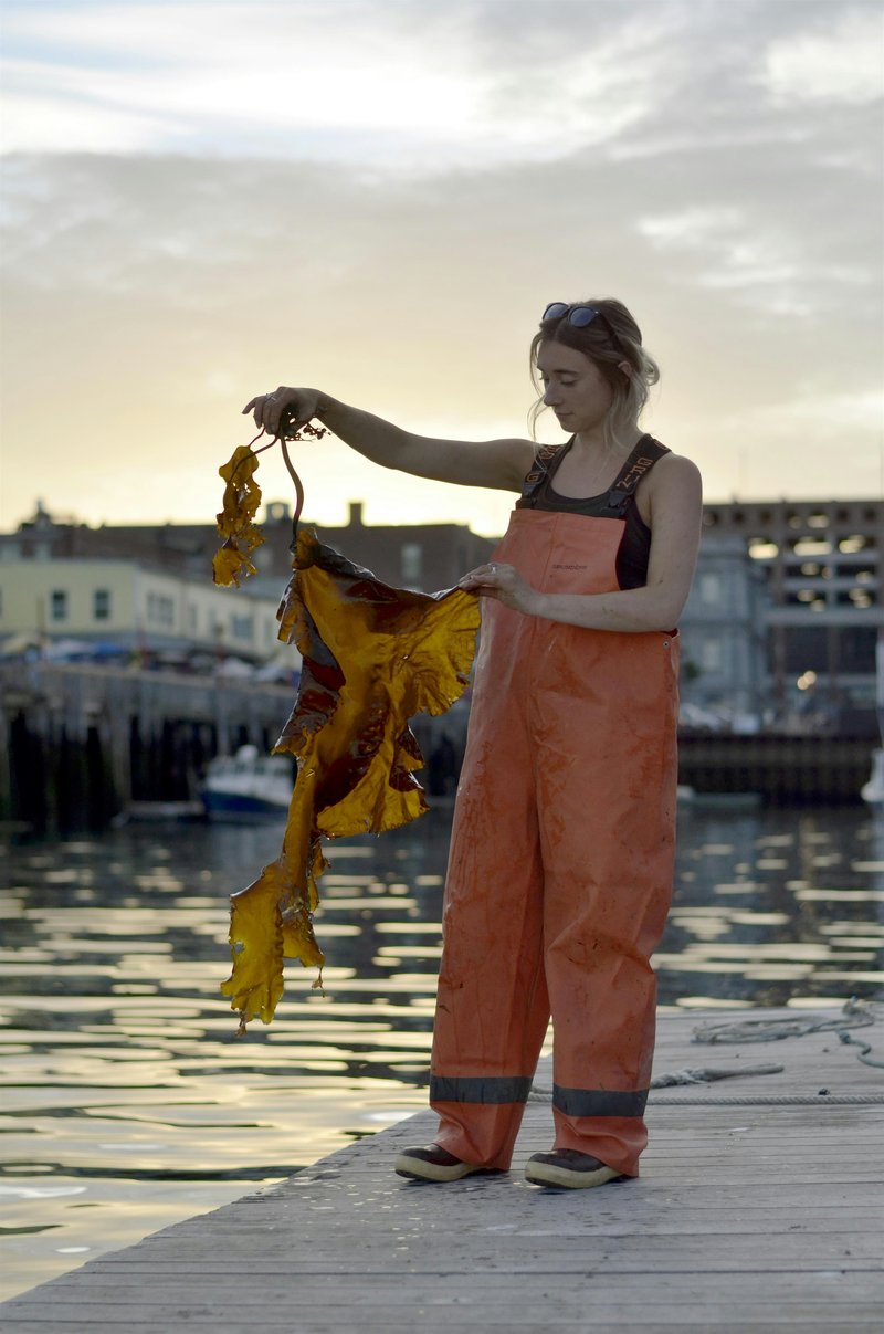 Panel 2: Beyond the Shore: Seaweed Innovation & Maine’s Blue Economy