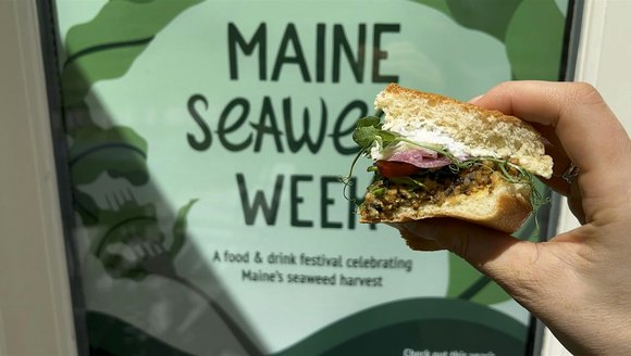 Panel 3: Deep Dive: Seaweed as Food and Medicine