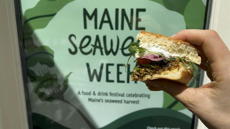 Panel 3: Deep Dive: Seaweed as Food and Medicine