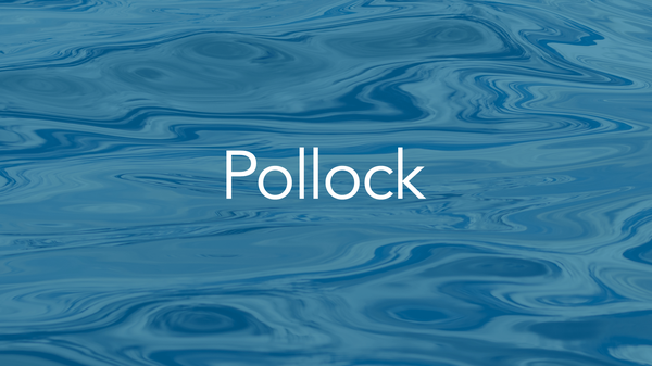 pollock-quality-thumbnail