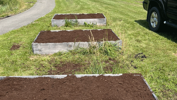 raised beds