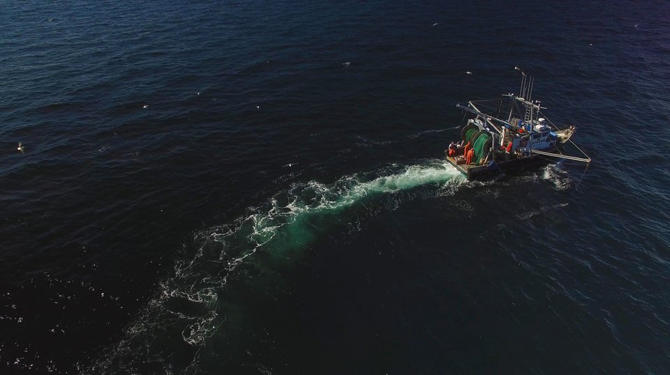 Strengthening and Informing Fisheries Management