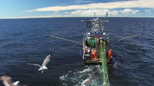 Understanding Climate Impacts on the Maine Coastal Fish and Invertebrate Community