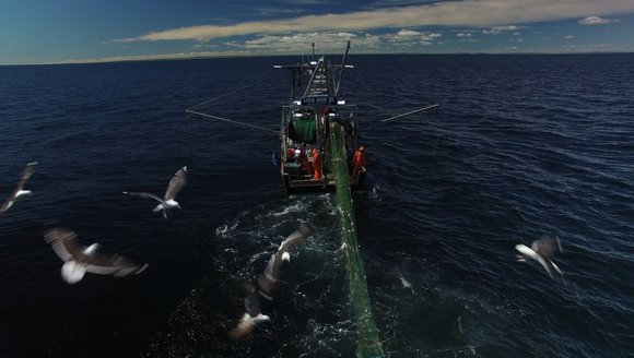 New Nets Show Progress