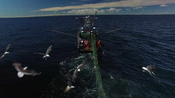 Using Satellite Data to Support Sustainable Fisheries