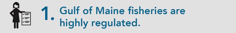 A grey background appears behind blue text that reads: "1. Gulf of Maine fisheries are highly regulated." On the left side of the banner image, a person outlined in black holds a massive checklist.